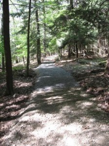 Accessible Trail Work