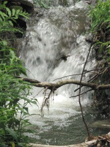 Spring waterfall