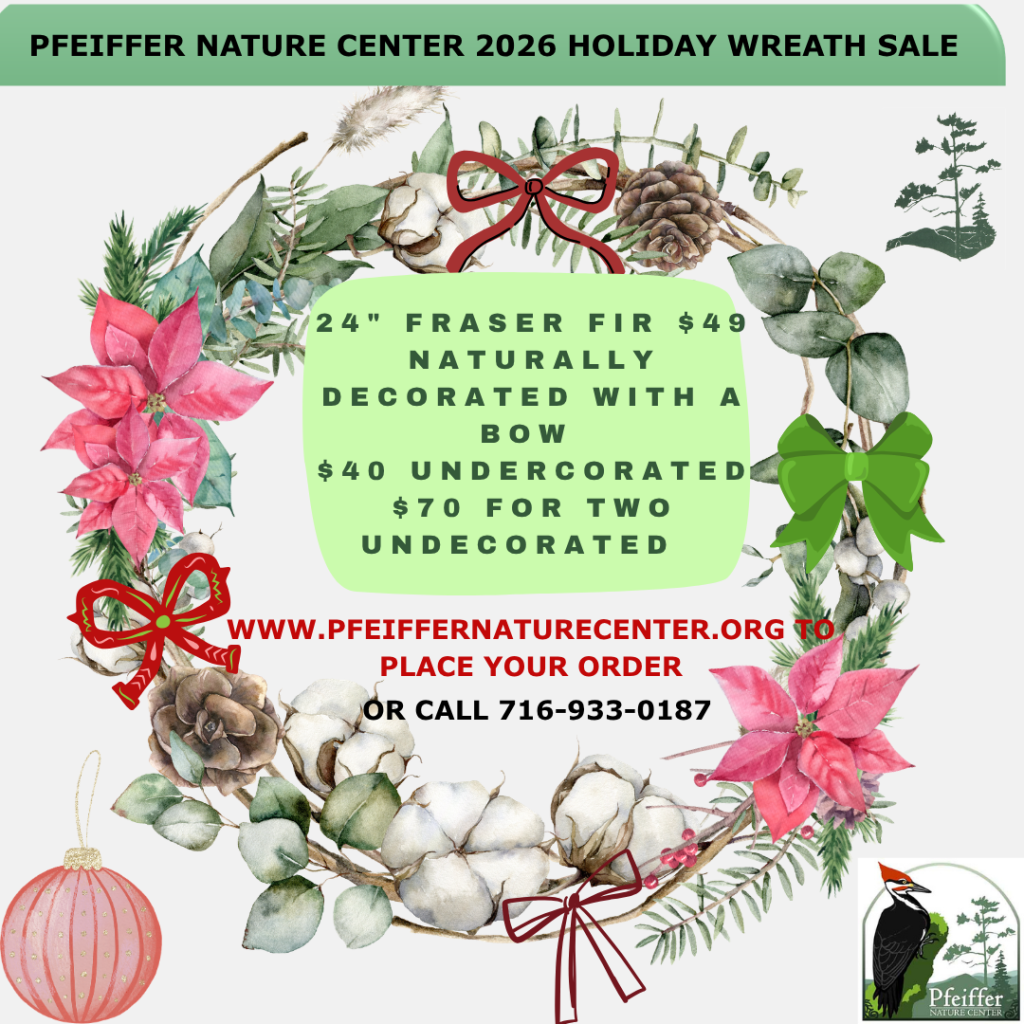 event flyer