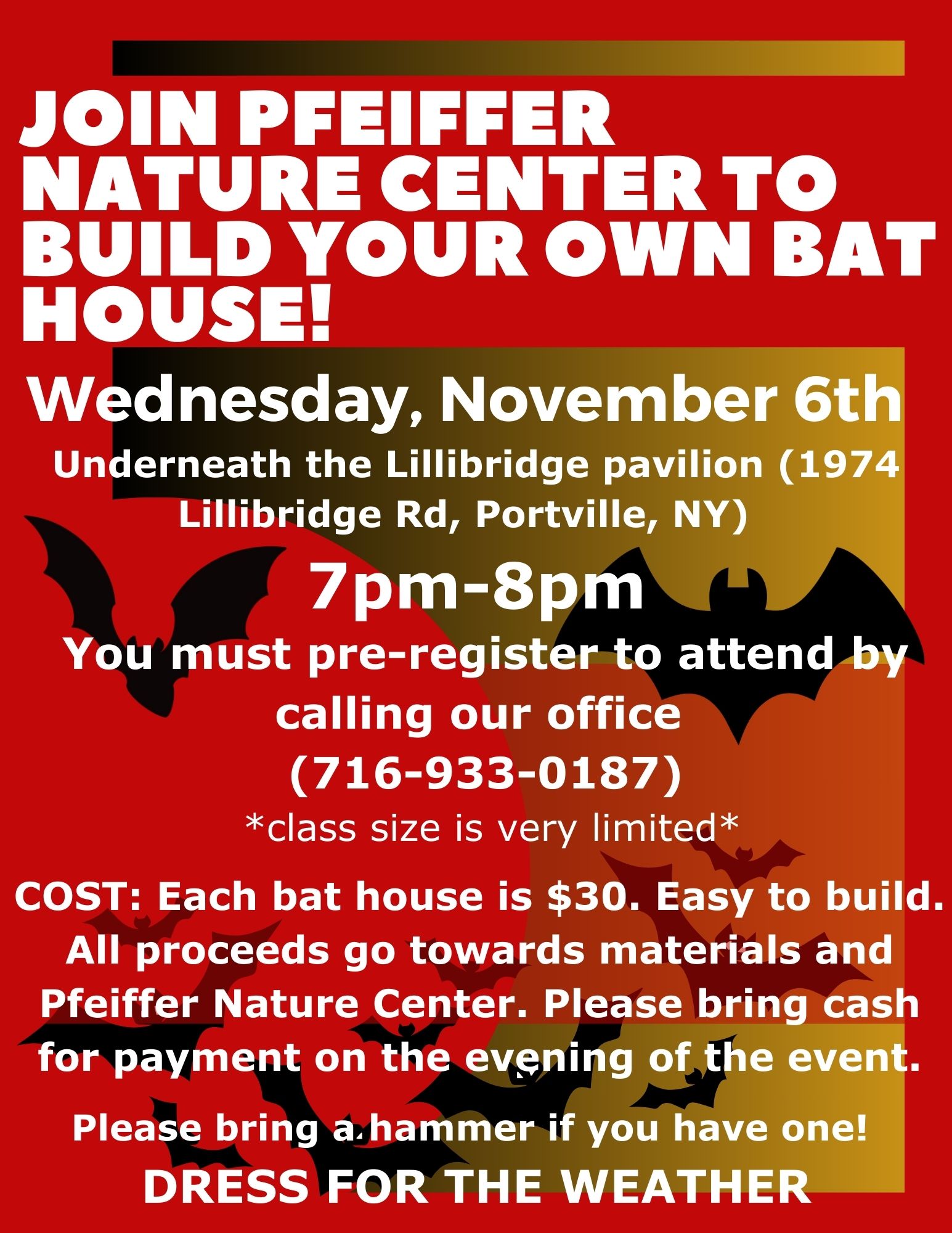 Bat house Flier