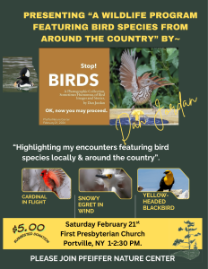 Dan Jordan bird presentation-use