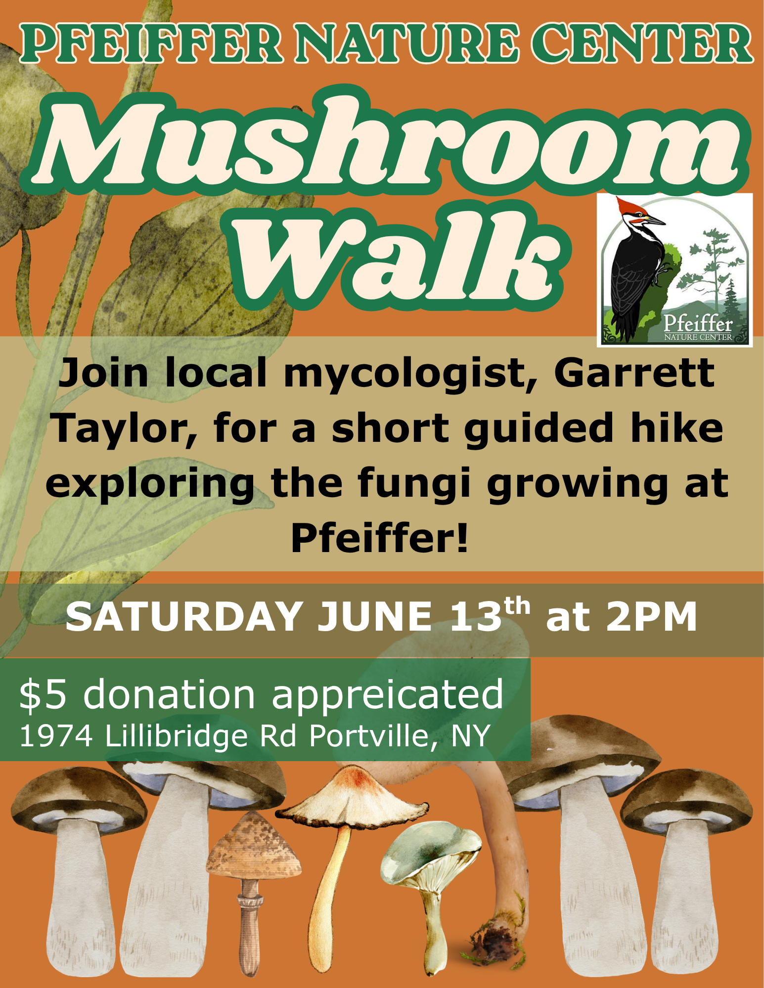 2026 mushroom walk flyer