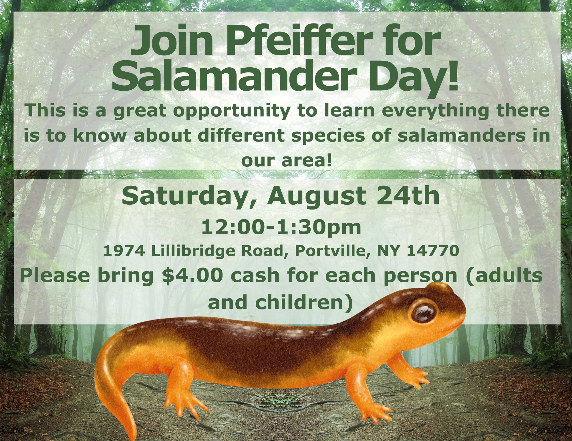 Salamander Day Flier