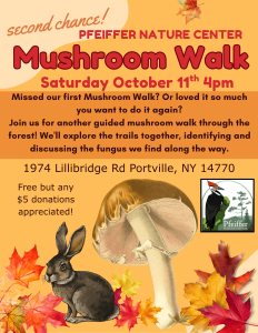 Second Mushroom walk final 2025(1)