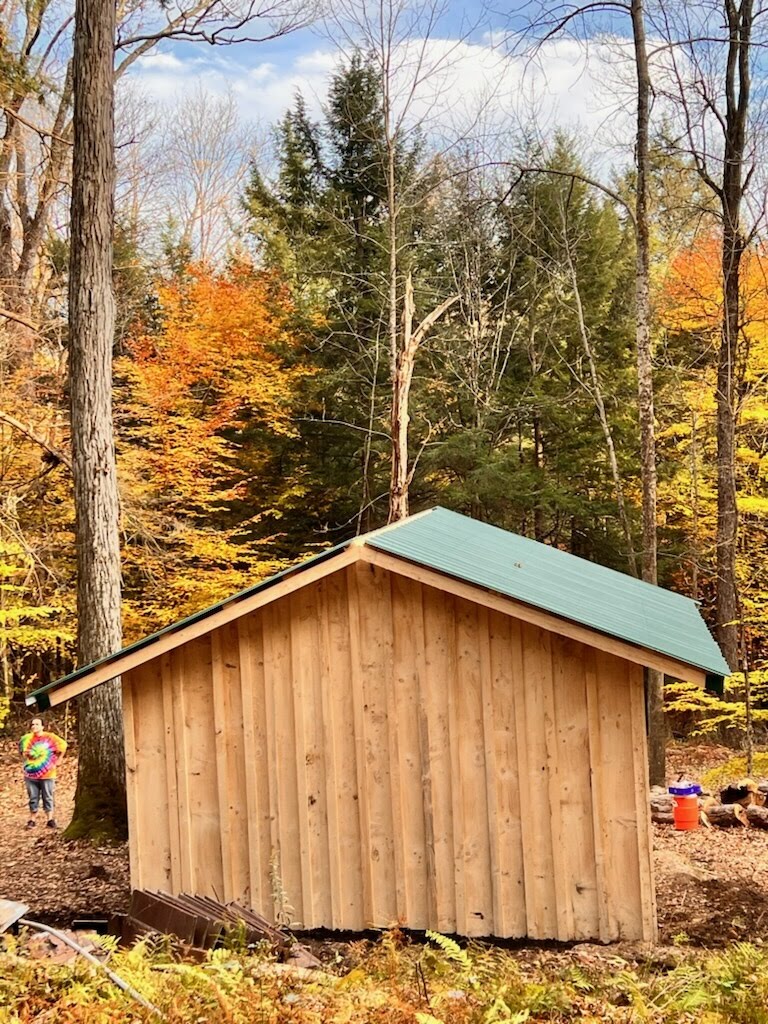 Sugar Shack Wooden Shed in the Autumn Woods