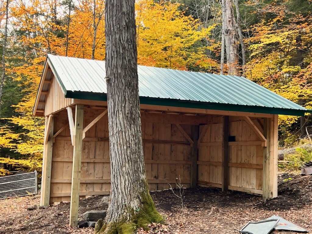 Front view of a wooden shack in the autumn woods