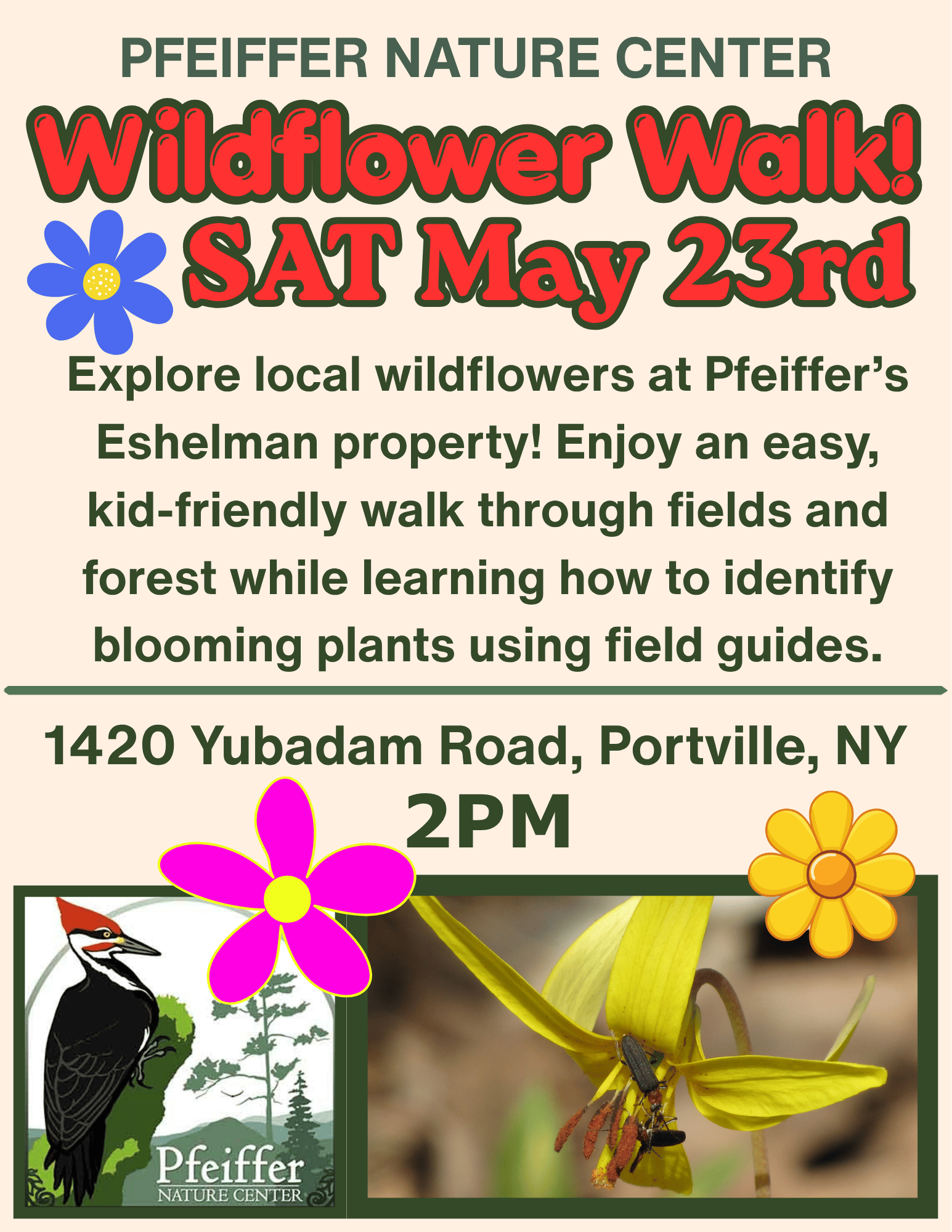 wildflower walk flyer