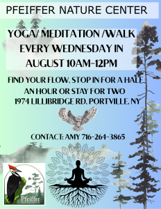 Yoga meditation walk final 2025