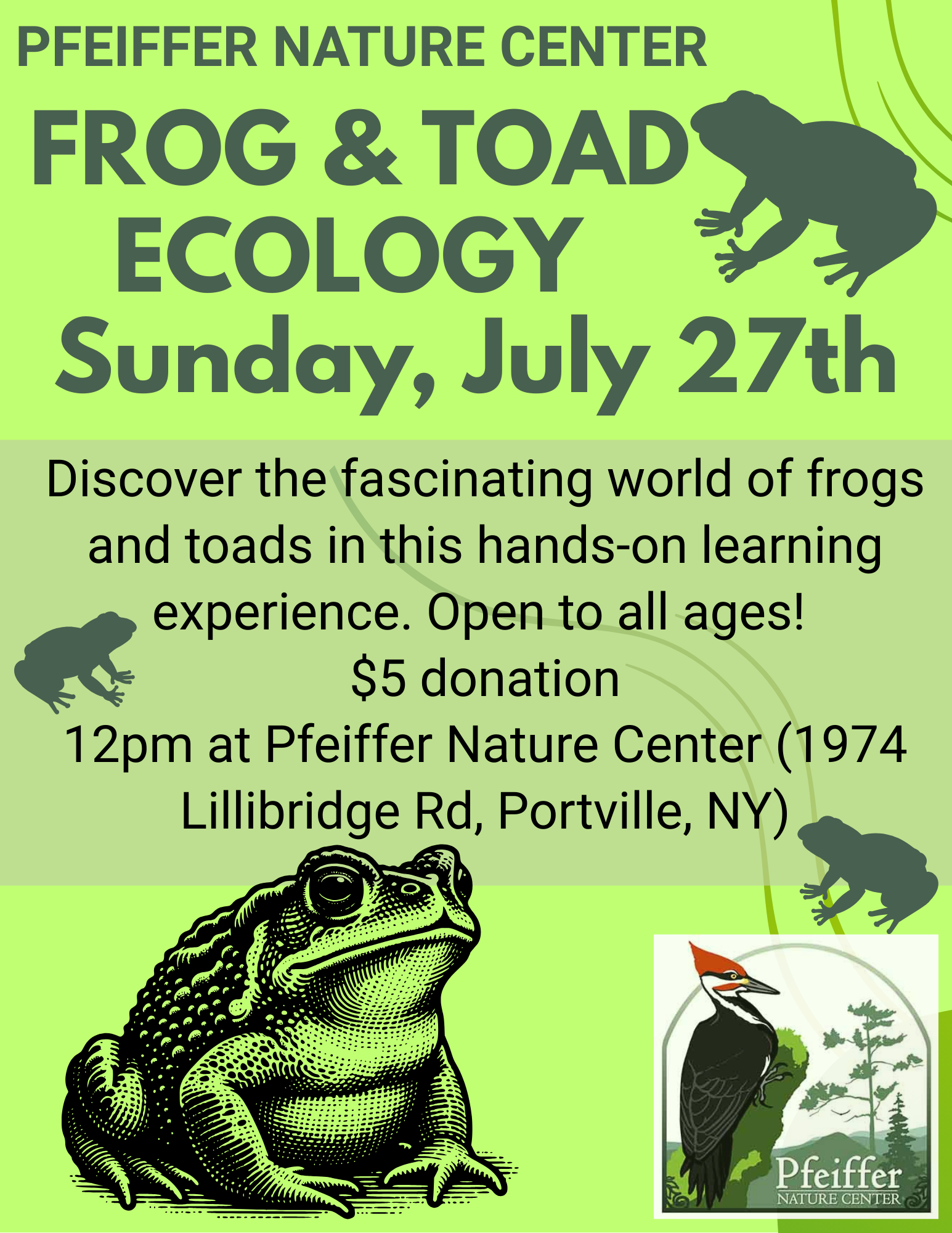 frogtoad 2025