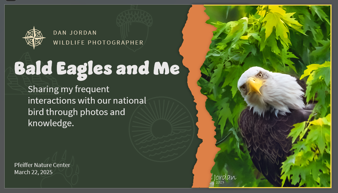 Bald Eagles and Me event poster with image of bald eagle